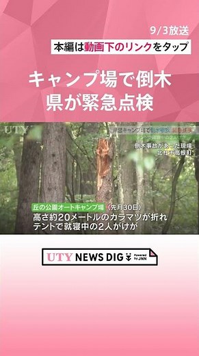 「対策をしっかりしていきたい」県営キャンプ場の倒木で2人がけが 県が緊急点検 伐採予定の10本の他 新たに10本余りも伐採対象に #shorts #uty #ニュース #キャンプ場 #倒木 #山梨
