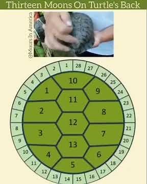 Turtle Shell Calendar has 13 Months or Moons