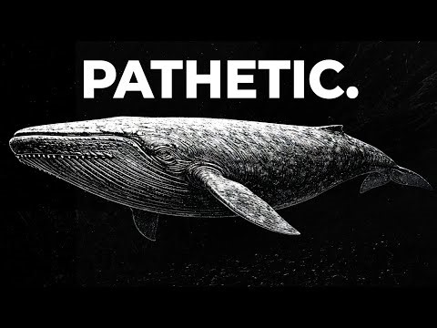 The Only Time In History That Blue Whales Weren’t The Biggest