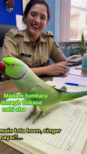 jab parrot ny police madam ko jawab diya 🦜😂...#funny #talkingparot #comedy #viralshort #parrot