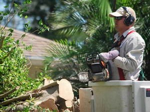 Hurricane Irma: Latest Central Florida County-By-County Power Outages