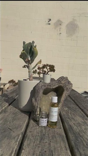 DIY Makers Mart - Fragrance Oil