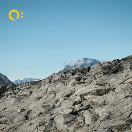 15 reactions | With the largest selection of off ship activities in the industry, on a Quark expedition you get to set foot where few ever will and do what few ever dream. | Quark Expeditions | Facebook