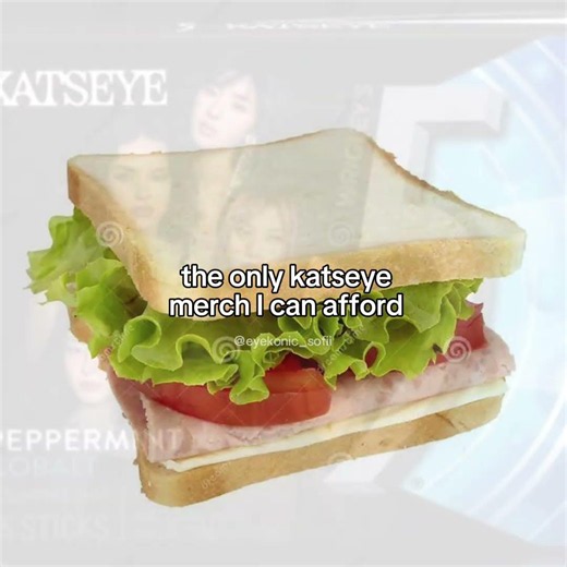 The only katseye merch i can afford😔 #katseye