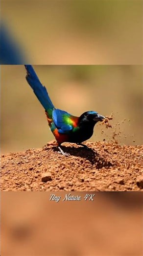 🌍 African Paradise Birds Attack Termite Swarm | Ultra-Realistic 4K UHD