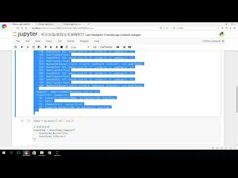 31 项目实战 猫狗分类模型预测