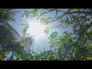 Taking a look at what extreme heat does to the body