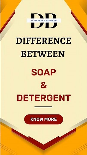 Difference Between Soap and Detergent | Are You Soaping or Detergenting? Find Out Here!