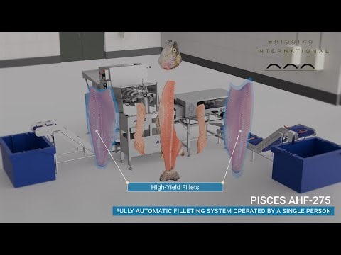 Maximize Trout Filleting Performance with the Pisces AHF-275 Line 🐟