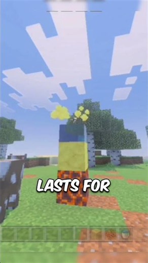 Minecraft Just Changed Elytra Travel Forever 😳 #shorts