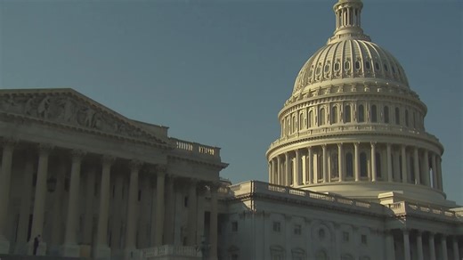 Judge temporarily blocks Trump from firing workers during shutdown, employees to miss first paycheck