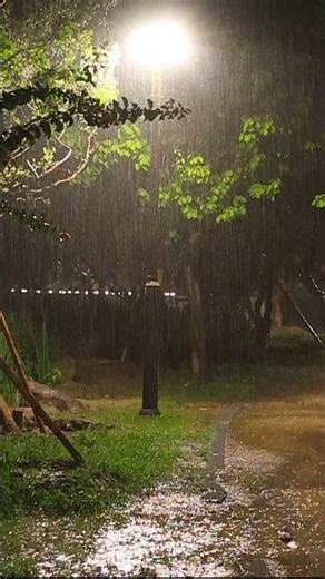 Peaceful Rain Sound #rain #healing #relax