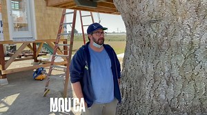 1.7K views · 78 reactions | Here’s another treehouse that’s going out! #treehouse #treehouselife #treehouseliving | Monster City Studios | Facebook