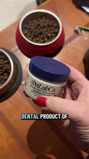 Enhance Your Pet's Health with Probiotics from Petlabco