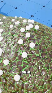 69K views · 570 reactions | What Happens When You Put Salt on a Slug?  | NYKentertain | Facebook