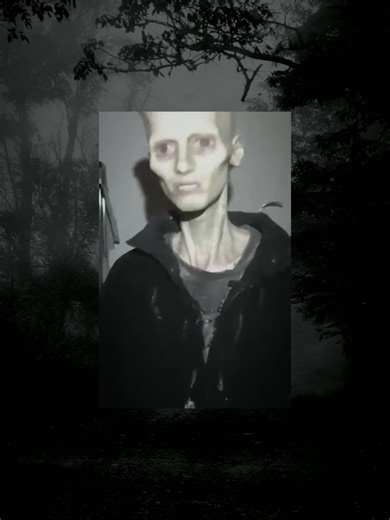 First Contact with Aliens: What to Expect