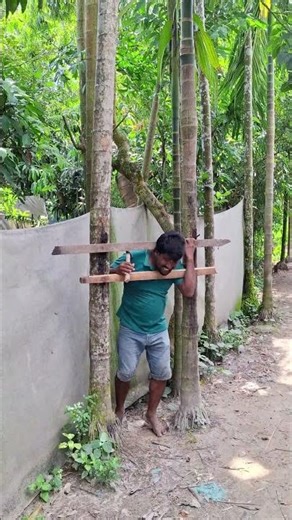 "He Got Stuck Between the Trees! 😂🌴 The Perfect Prank!"