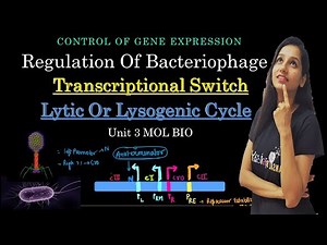 Lytic vs Lysogenic Cycle Switch I Regulation Of Phages I Control Of Gene Expression I Lambda Phage Video Lecture | IIT JAM Biotechnology Crash Course