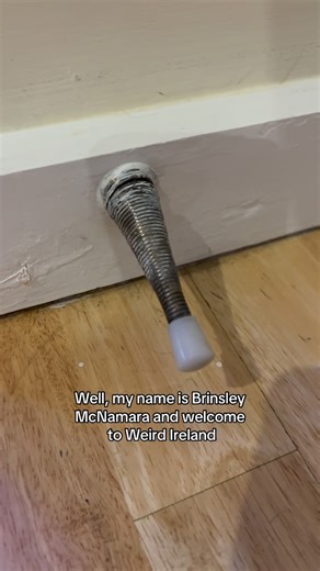 Weird Ireland on Instagram: "Spring go boing #weirdireland #ireland #spring #boing"