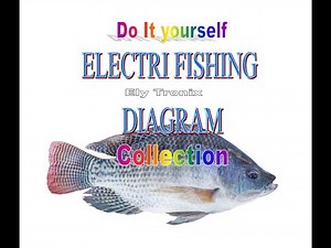 Electric Fish Shocker Circuit Diagram Collection