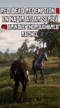 Red Dead Redemption 2: The Rarest Horse in the Game, Brindle Thoroughbred, Rachel, Horse Guide