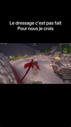 Les dragons de Minecraft #minecraft