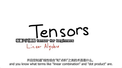 张量入门课程 tensor for beginners_哔哩哔哩_bilibili