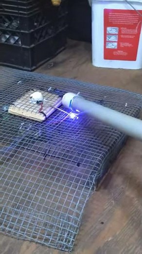 RAT ZAP ELECTRIC RAT TRAP: Constructing a lethal electric rat trap with a microwave transformer!