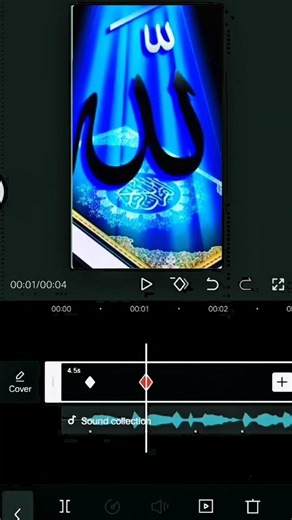 ALAHU PHOTO cap cat edit 🕌🤲🕋