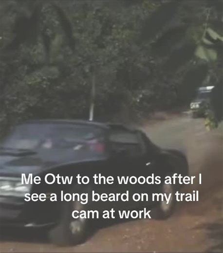 We have all been there #turkeyhunting