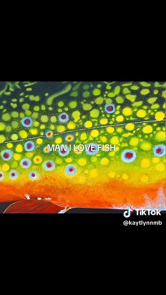 #fish #fishermanaesthetic #fishermancore #fishing #marinebiology | fish