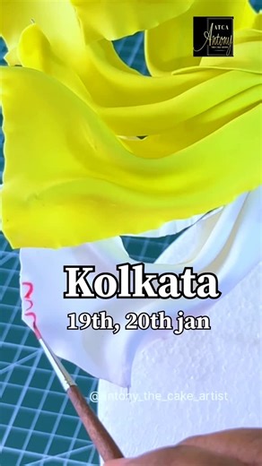 Antony Bidesh on Instagram: "Hello this is my upcoming Advanced fondant hands on class in Kolkata.. those who are intermediate learner want to learn some advance skills.. then you can join this class For details do message on WhatsApp +919051397246. Or DM me for details. #antonythecakeartist #cake #cakedecorating #fondant #reels #cakeart #fondantfigurine #cakedesign #fondantdoll #cakeartist"