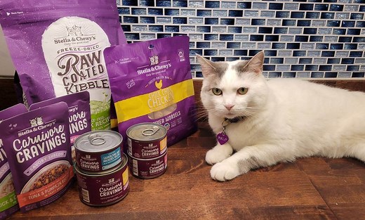 Unbiased Stella & Chewy's Cat Food Review - Cats.com