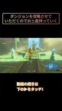 ダンジョンを攻略させていただくのでお土産持っていく #ブレワイ #ゼルダの伝説 #botw #礼儀 #DLC #ラスボス #裏ボス