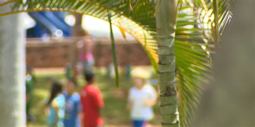 Recent cases of violent bullying spread online, stirring concerns