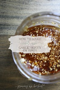 How To Make And Use Garlic Honey (or Syrup) - Growing Up Herbal