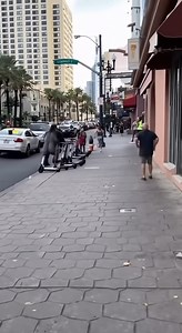 Large gorilla loose on a busy California avenue scares residents. | Lando Artesanato