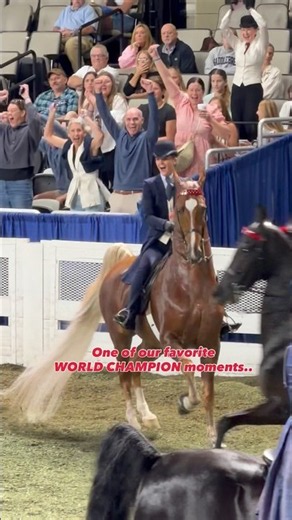 One of our favorite moments from this year’s World’s Championship Horse Show. #asbdreams