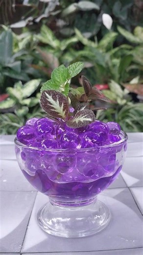 Hydrogel Purple Aesthetic Display for Decorative Plant #hydrogel #decorativeplants | Indah Wahyuni