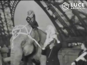 11K views · 295 reactions | Salvador Dali in the newsreels of the Italian Luce Archive | History of Art | Facebook