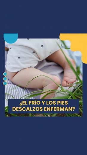 736K views · 16K reactions | ➡️ El frío y los pies descalzos!!! Que...