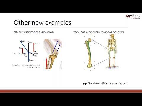 What's New In The AnyBody Modeling System v. 7.4