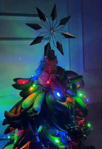 Celebrate Christmas with Traditional Palm Nut Soup