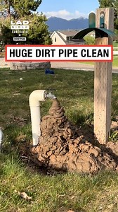 529K views · 1.3K reactions | That is a lot of build up 濫 | LADbible Australia | Facebook