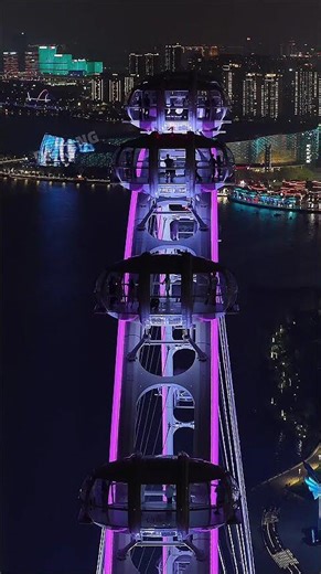 Giant Ferris Wheel Decorative Light Outdoor LED Lighting Installation