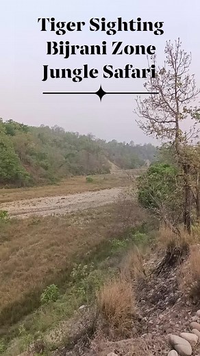 57K views · 748 reactions | Tiger Sighting Bijrani Zone Jungle Safari #safari #wildlifephotography #corbettnationalpark #gypsy #Wildlife #jungle #tiger Rozi Ji | Jim Corbett Wildlife & Nature View | Facebook