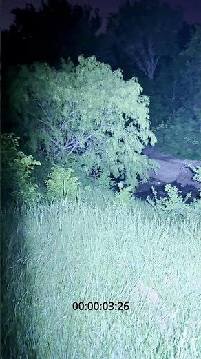 NITECORE EDC37 8000 Lumen Flashlight Turbo Flood Demonstration. Hold The Sun In Your Hand.