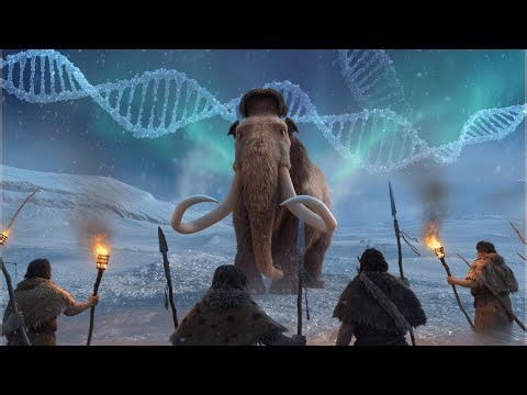 🧬 Neanderthal: Rise of the Mammoth Hunters | The Lost Humans Who Live in Us