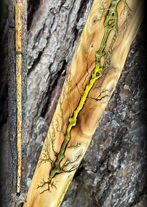 58” CEDAR Walking HIKING Stick Fractal Lichtenberg With Green and Yellpw Inlay Handmade & Finished USA - Etsy