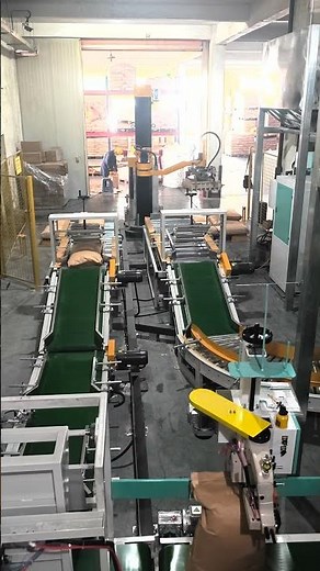 Two-line palletizer robot: maximum speed and precision
